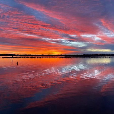 Sunrise Luxury Apartments フォースター エクステリア 写真